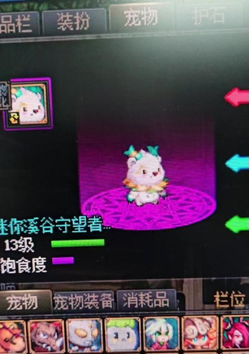 dnf小灯笼宠物喜欢什么？如何快速获得小灯笼宠物？