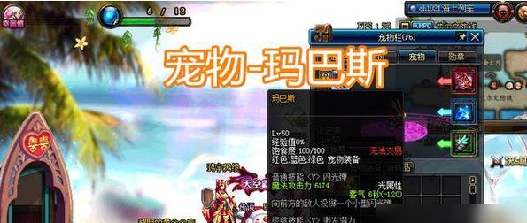 dnf导师套宠物选择标准是什么？如何挑选最佳宠物？